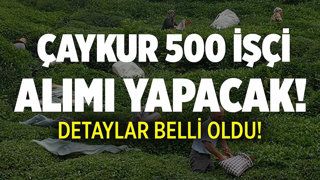 ÇAYKUR 500 işçi alımı yapacak!ÇAYKUR 500 işçi alımı 2021 başvuruları ne zaman yapılacak?