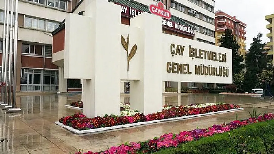 ÇAYKUR 657 Milyon TL Zarar Etti