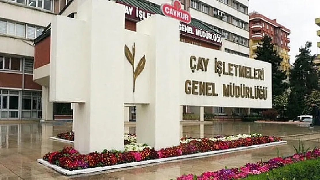 ÇAYKUR en az önlisans mezunu personeller alacak! Başvurular İŞKUR üzerinden! ÇAYKUR 79 Çay Eksperi personel alımı