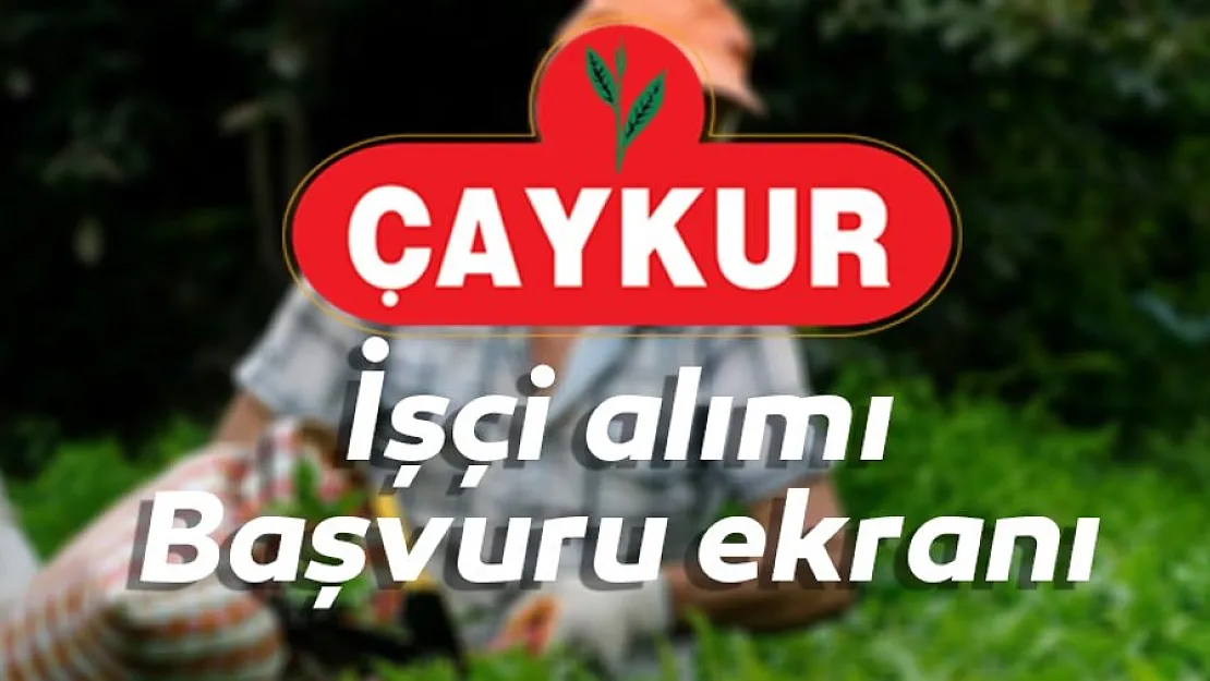 ÇAYKUR işçi alımı başvuruları yarın başlıyor! KPSS şartlı ve KPSS şartsız 500 personel alınacak!