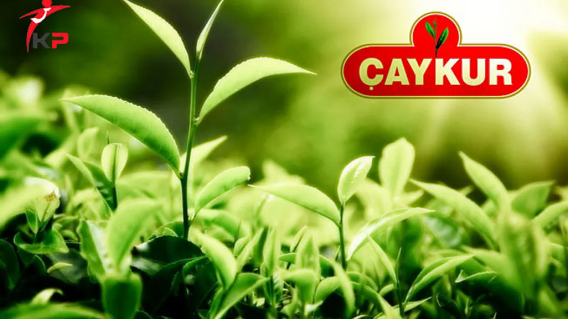 ÇAYKUR İşçi Alımı İçin Yeni Gelişme