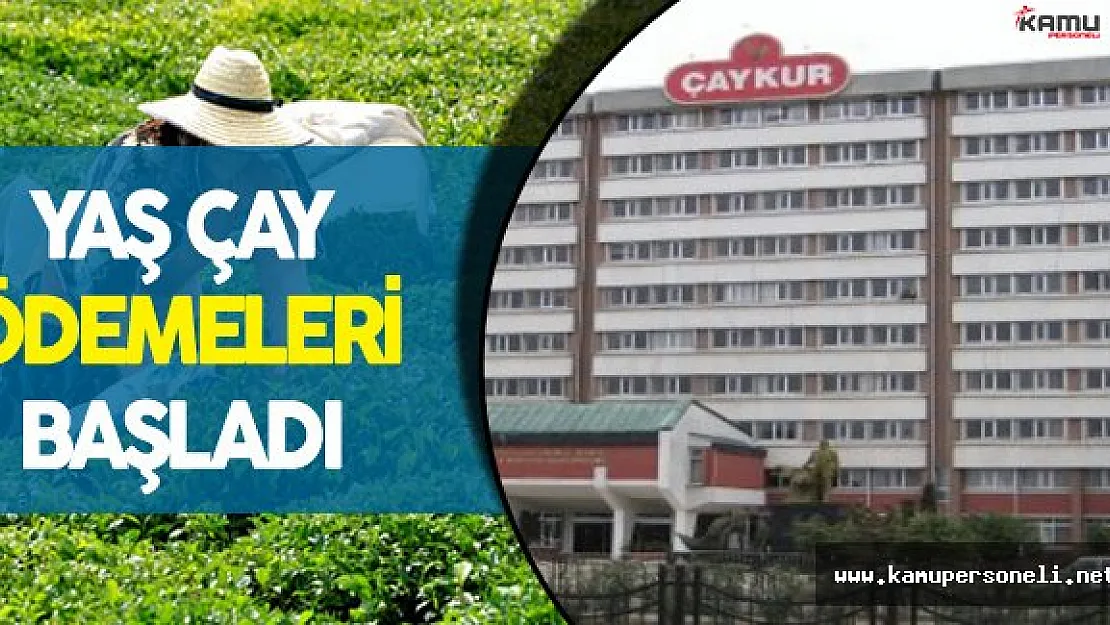 ÇAYKUR:" Üreticilere Yaş Çay Ödemesi Yapılmaya Başlandı"