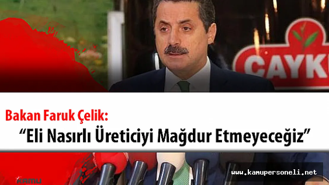 ÇAYKUR Yaş Çay Alım Fiyatı 1.90 TL Olarak Açıklandı