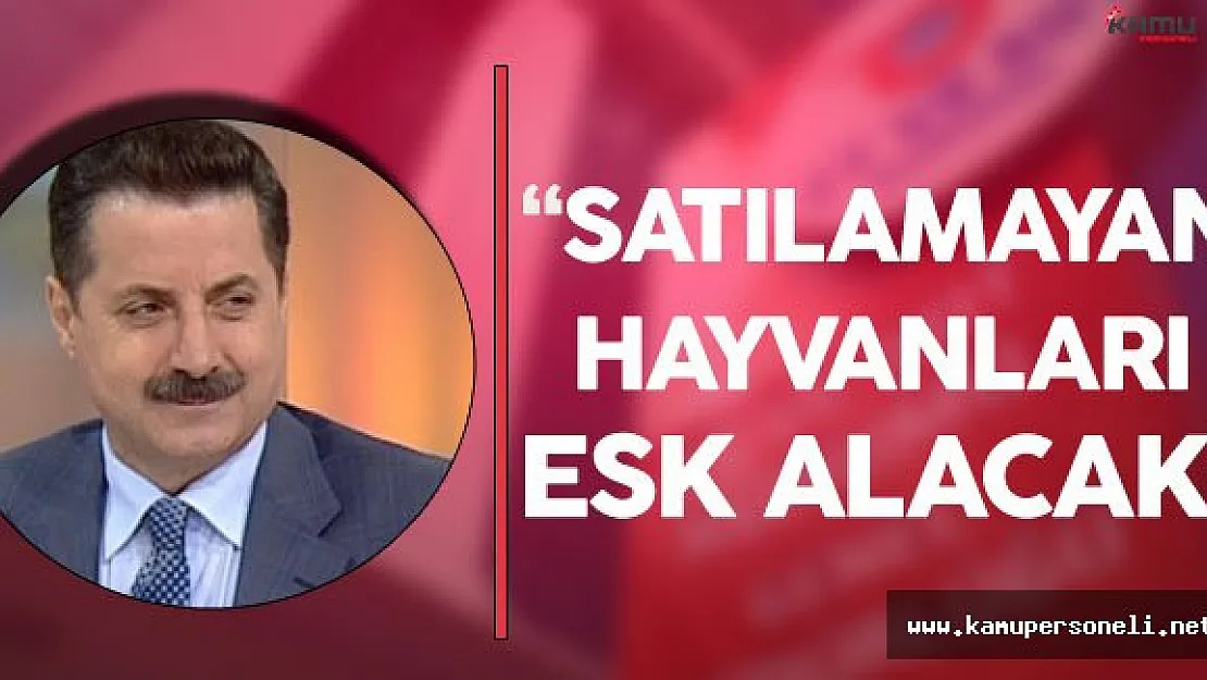 Çelik'ten Son Dakika Açıklaması &quotSatılamayan Hayvanları ESK Alacak"