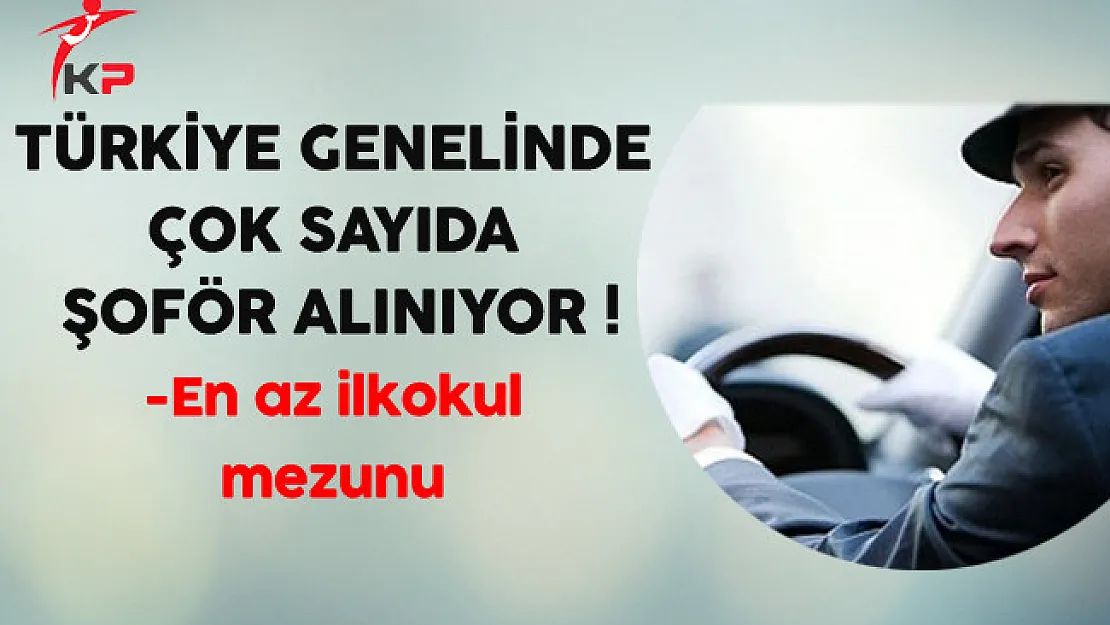 Çeşitli Firmalara Çok Sayıda Şoför Alınıyor
