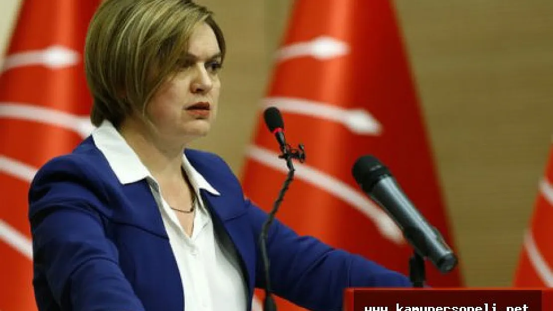 CHP Genel Başkan Yardımcısı Selin Sayek Böke Açıklamalarda Bulundu