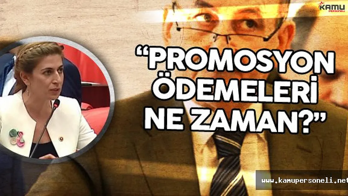 CHP Milletvekili Didem Engin :&quotEmekli Promosyonları Ne Zaman Ödenecek? "
