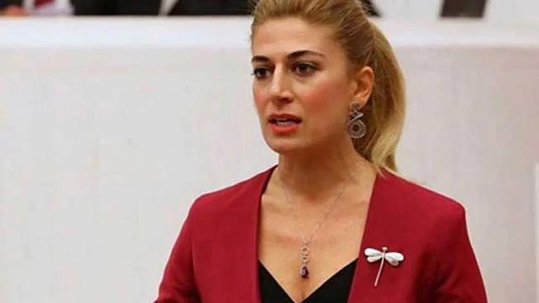 CHP'li Didem Engin'de Cumhurbaşkanlığına Aday Olduğunu Açıkladı