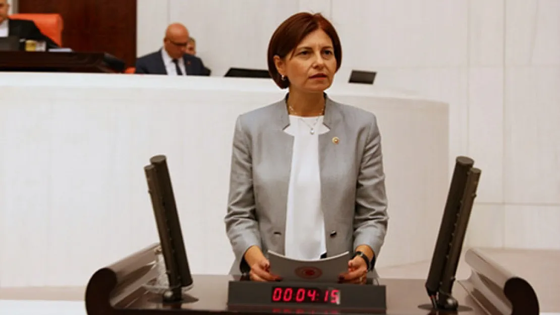CHP'li Emecan:  Her Getirdiğiniz Torbayla Yasamayı Oy Avcılığı Ekonomisine De Hizmet Eder Hale Getirdiniz