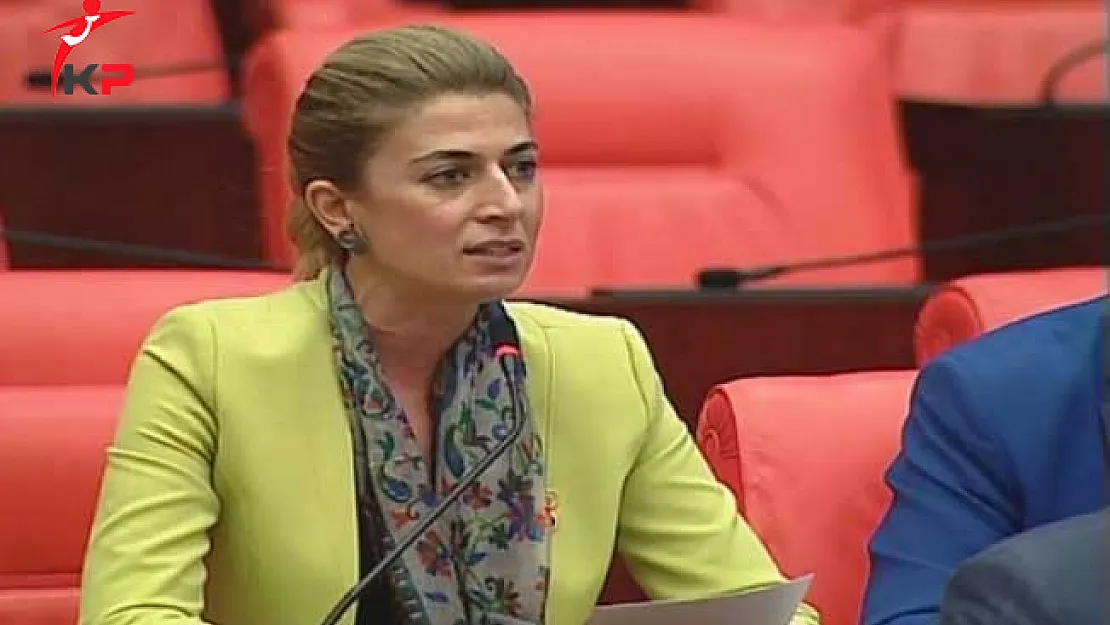 CHP'li Engin'den Tek Suçlunun Sağlık Personellerinin Olmadığına İlişkin Açıklama