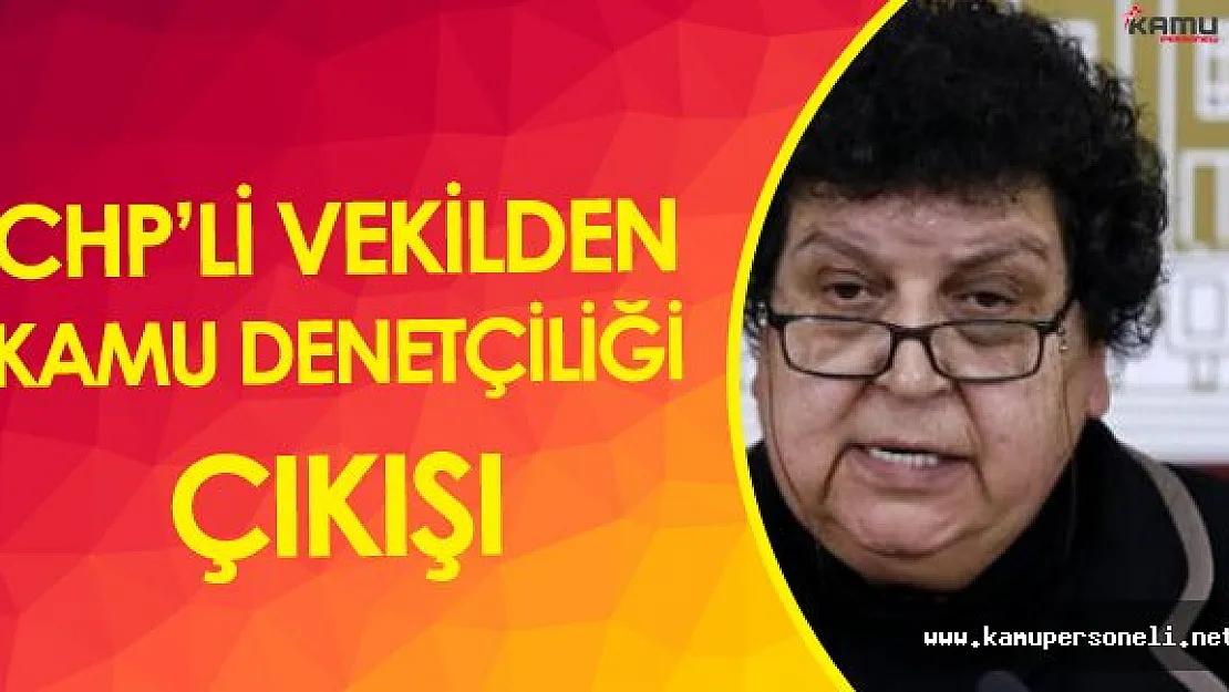 CHP'li Sarıhan'dan Kamu Denetçiliği Çıkışı