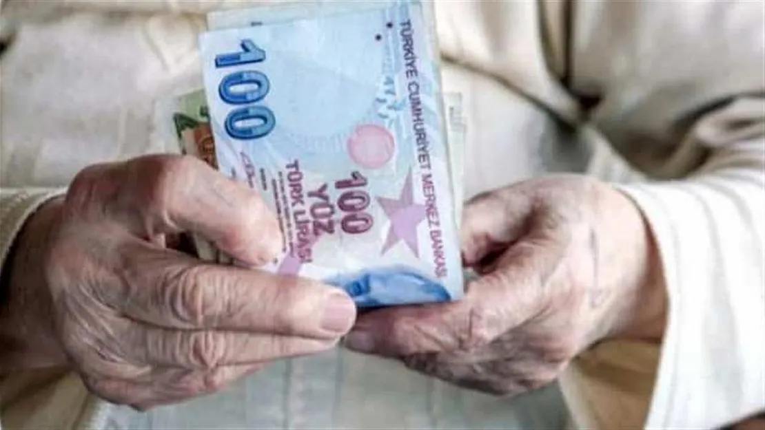 Çift maaş sahibi olmak mümkün! Emekliler de yararlanabiliyor