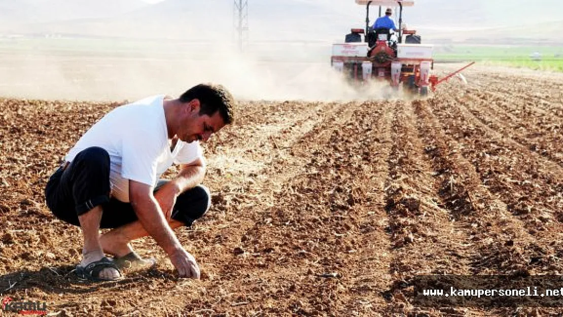 Çiftçilere Dekar Başına 110 Lira Ödeme Yapılacak