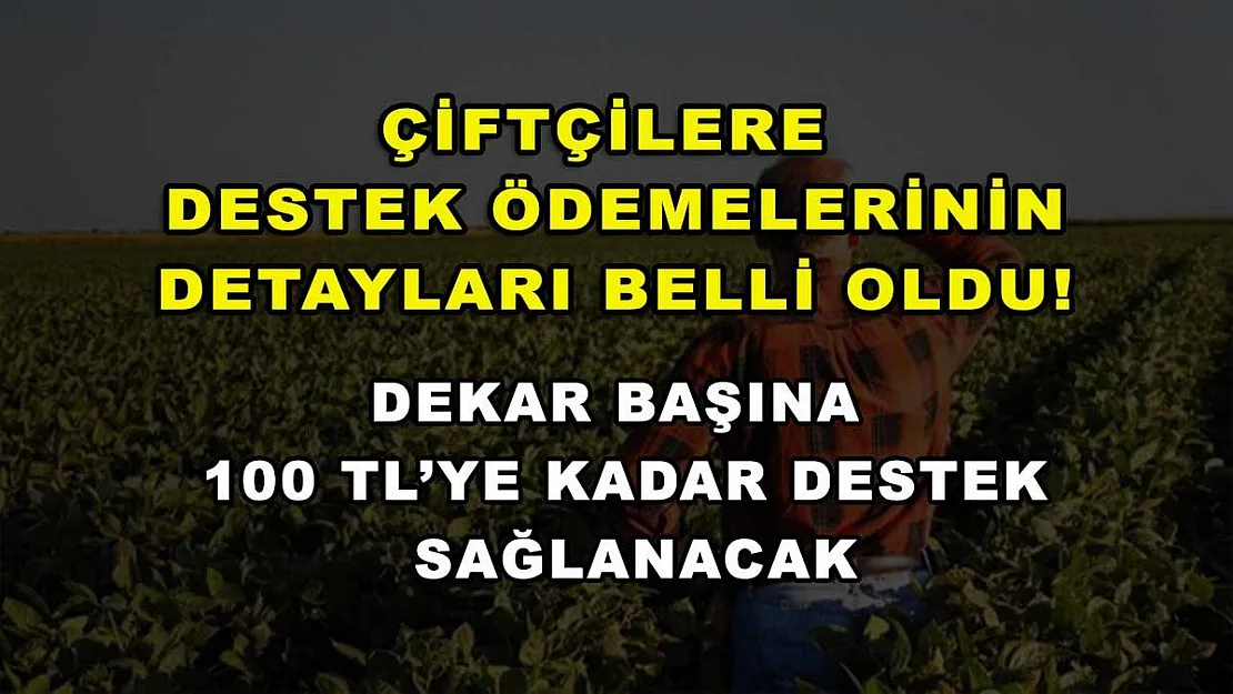 Çiftçilere destek ödemelerinin detayları belli oldu! Dekar başına 100 TL'ye kadar destek sağlanacak