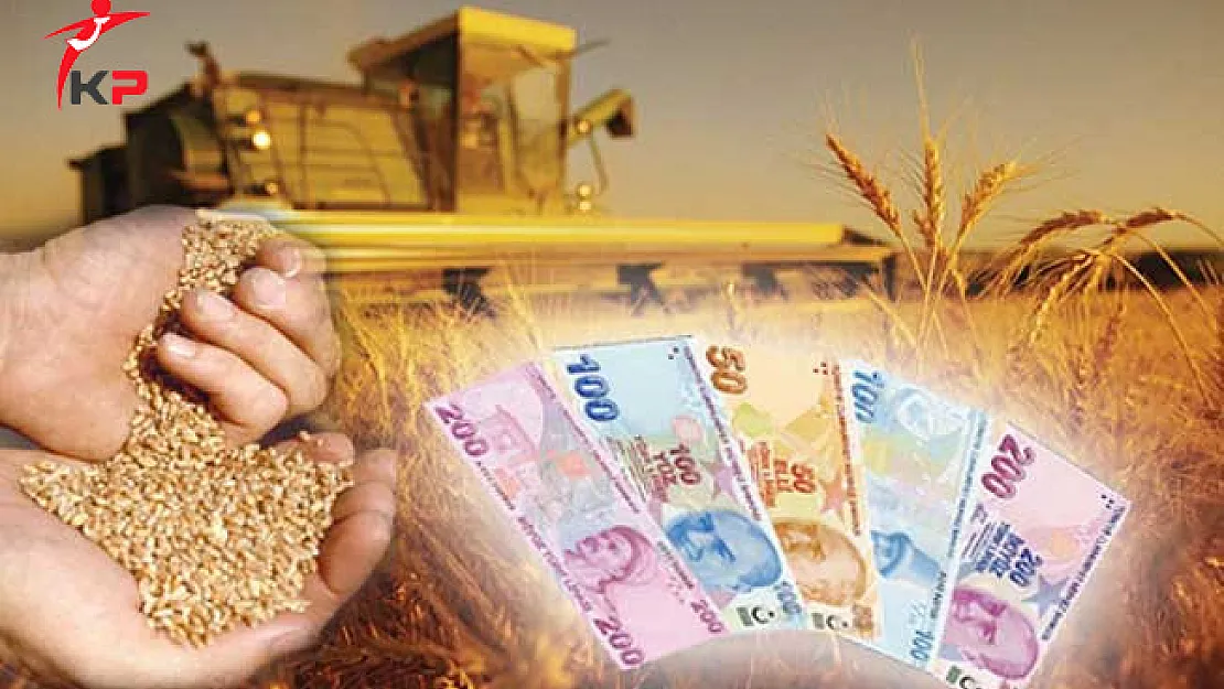 Çiftçilere Ödenecek Tarımsal Destekler Açıklandı