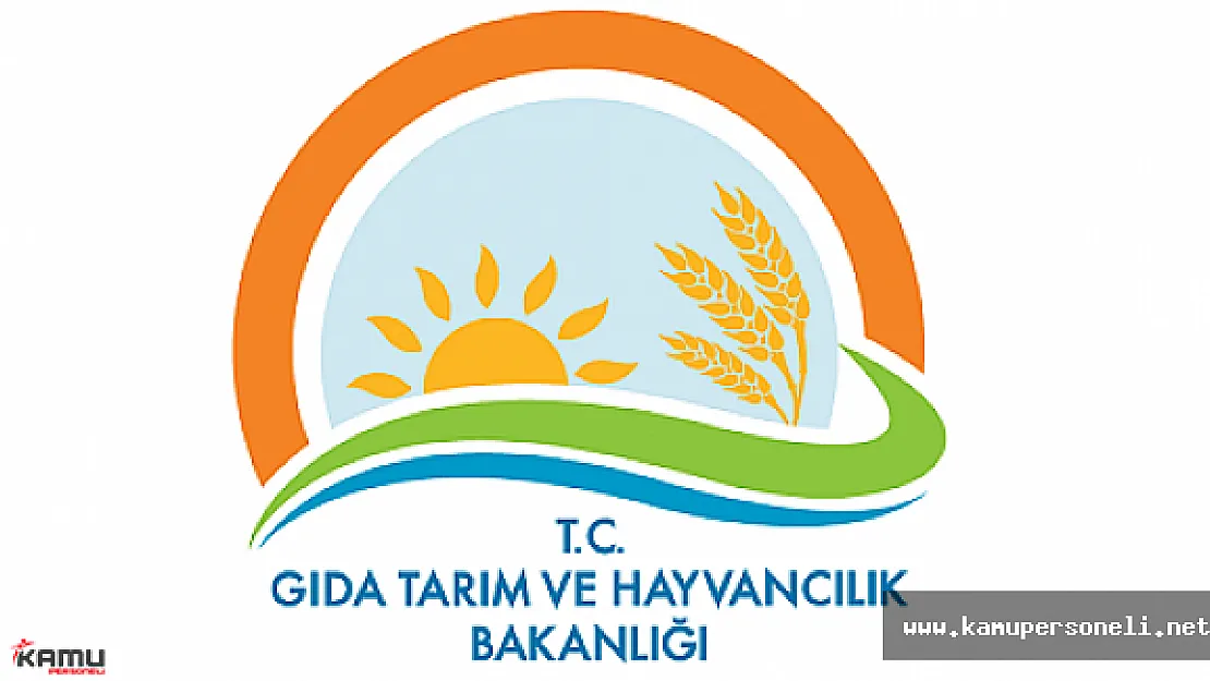 Çiftçilere Tarımsal Destek Kapıda. Kimler Tarımsal Destek Alabilir? Beklenen Açıklama Geldi