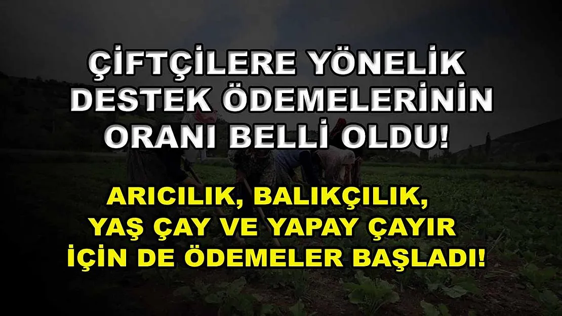 Çiftçilere yönelik destek ödemelerinin oranı belli oldu! Arıcılık, balıkçılık, yaş çay ve yapay çayır için de ödemeler başladı!