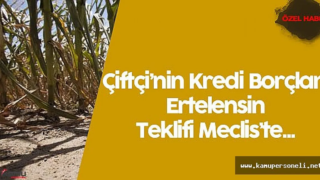 Çiftçi'nin Kredi Borcu 1 Sene Ertelensin Teklifi Meclis Komisyonu'nda