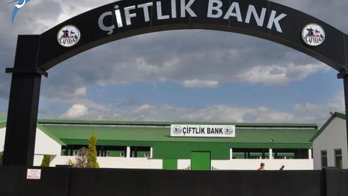 Çiftlik Bank'tan Sonra Kaşar Bank Dolandırıcılığı!