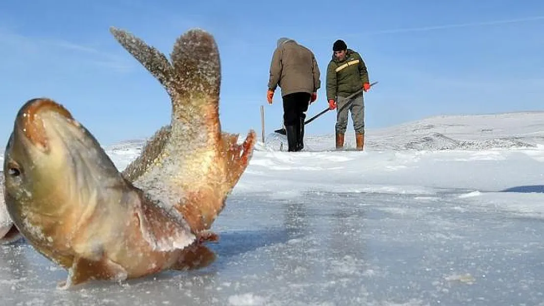 Çıldır Gölü'nde Eskimo usulü balık avlıyorlar