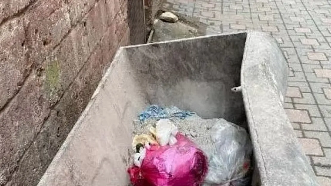 Çöpteki valizde çıktı: Ünlü ismin cesedi bulundu! Şüpheli eski sevgili İstanbul'a kaçarken yakalandı