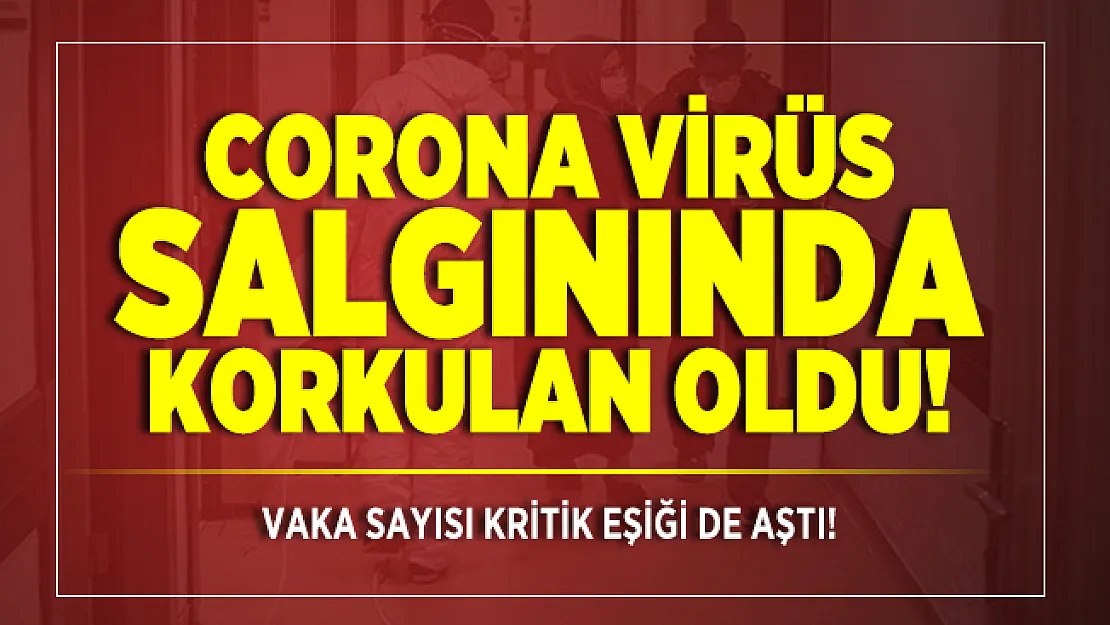 Corona virüs salgınında korkulan oldu! Vaka sayısı kritik eşiği de aştı!