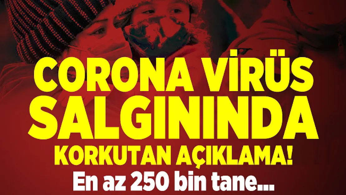 Corona virüs salgınında korkutan açıklama! En az 250 bin tane...