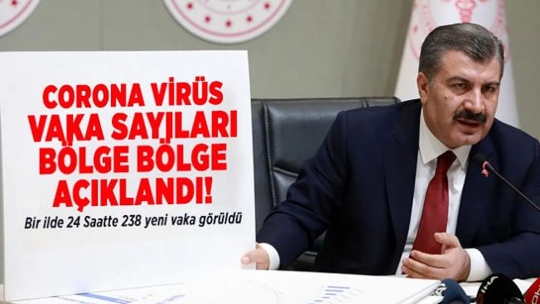 Corona virüs vaka sayıları bölge bölge açıklandı! Bir ilde 24 Saatte 238 yeni vaka görüldü