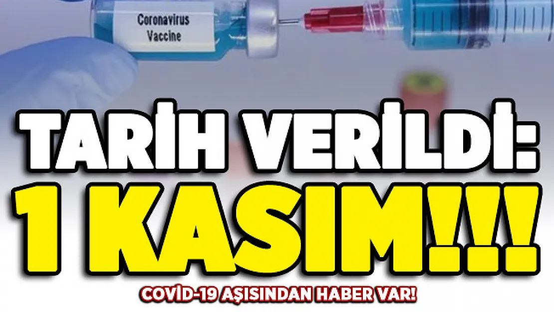 Corona virüsü aşısından haber var! Tarih verildi: 1 Kasım
