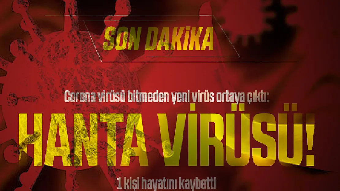 Corona virüsü bitmeden yeni virüs ortaya çıktı: Hanta virüsü! 1 kişi hayatını kaybetti