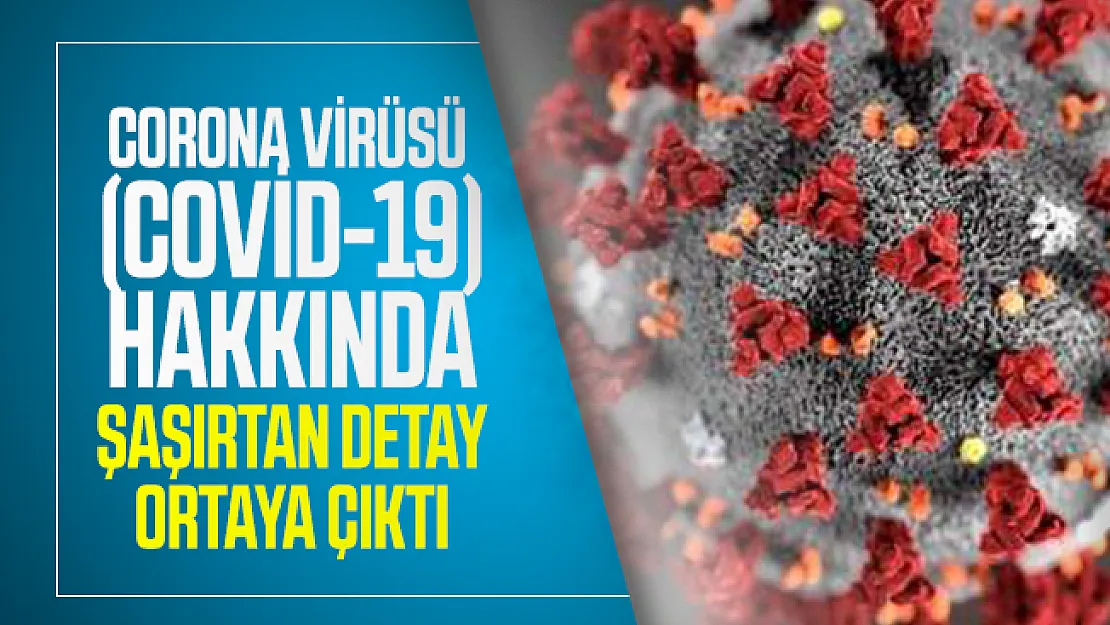 Corona virüsü  (Covid-19) hakkında şaşırtan detay ortaya çıktı!