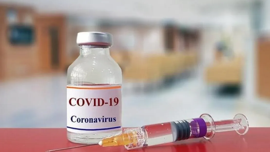 Corona Virüsü İçin Korkutan Tespit: 30 Farklı Tip Corona Virüsü Var