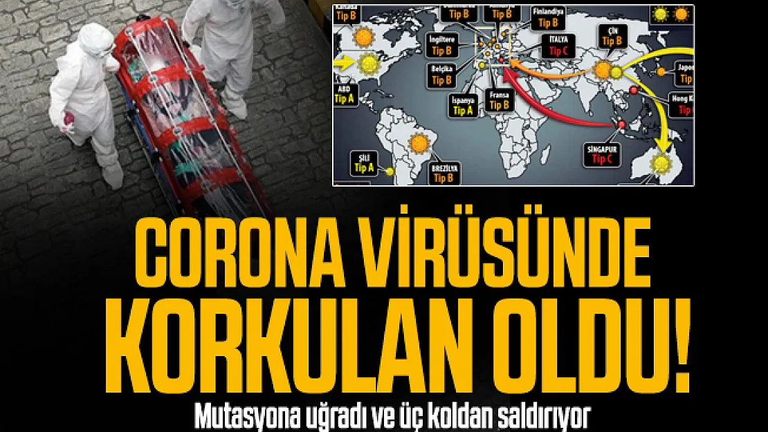 Corona virüsünde korkulan oldu! Mutasyona uğradı ve üç koldan saldırıyor