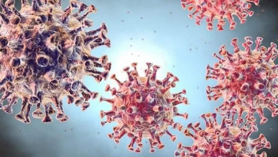 Coronavirus nedir? Etkileri nasıl görülür? Coronavirus nasıl bulaşır? Tedavasi var mı?