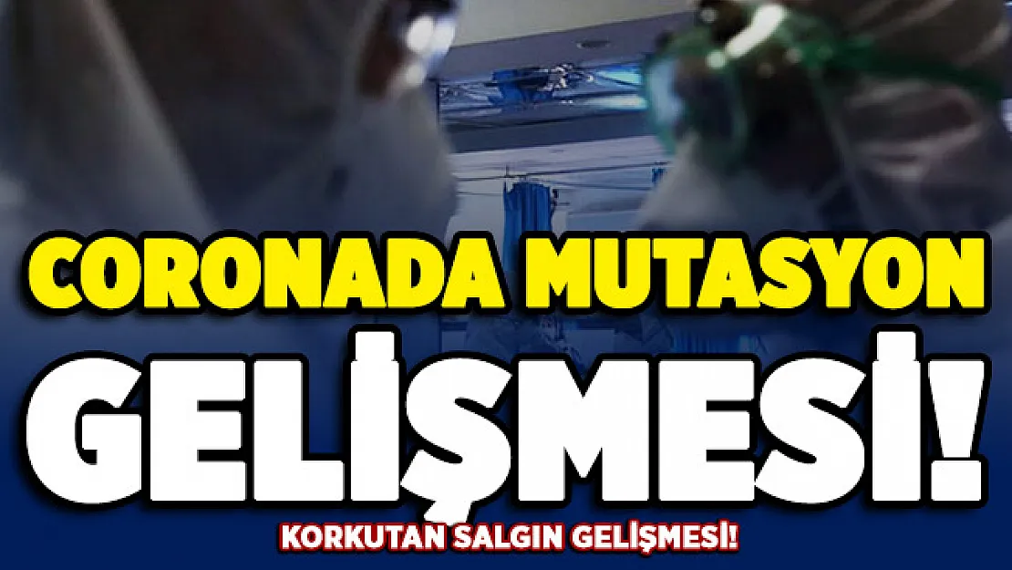 Covid-19 için korkutan mutasyon gelişmesi!