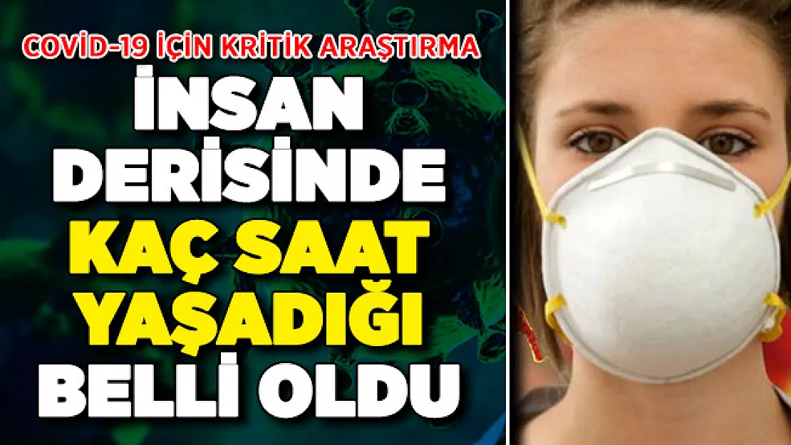 Covid-19'un İnsan Derisinde Kaç Saat Yaşayabildiği Belli Oldu
