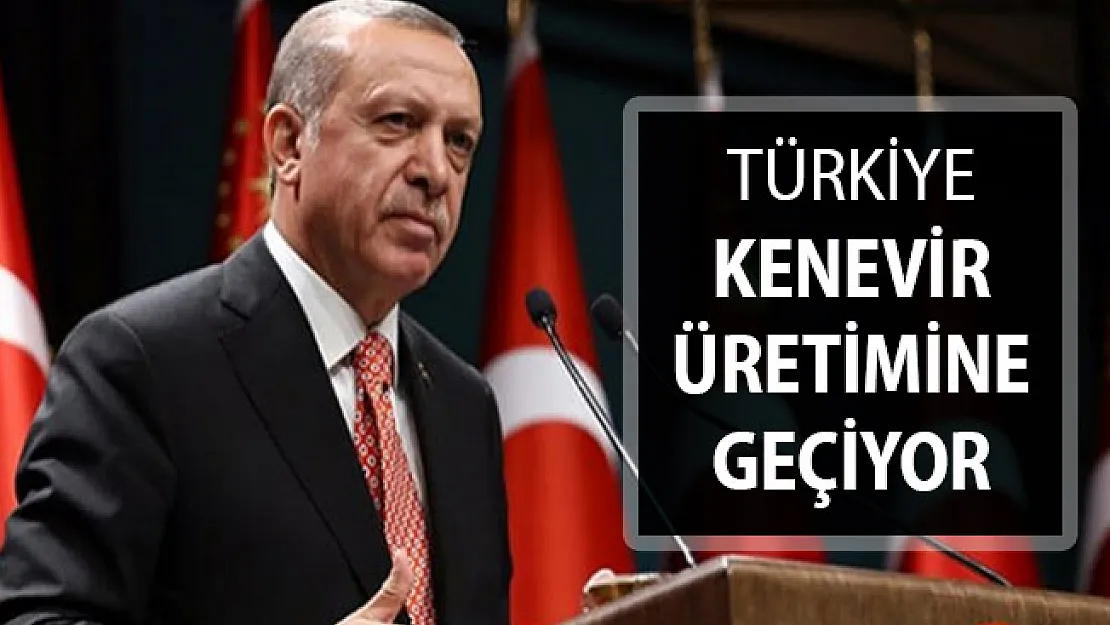 Cumhurbaşkanı Erdoğan Açıkladı: Türkiye Kenevir Üretimine Geçiyor
