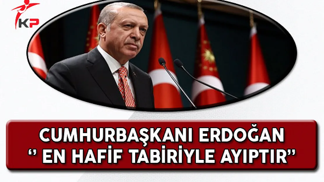 Cumhurbaşkanı Erdoğan: En Hafif Tabiriyle Ayıptır