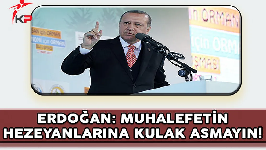 Cumhurbaşkanı Erdoğan: Muhalefetin Hezeyanlarına Kulak Asmayın !