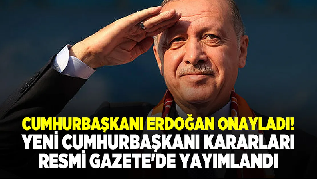 Cumhurbaşkanı Erdoğan onayladı! Yeni Cumhurbaşkanı kararları Resmi Gazete'de yayımlandı