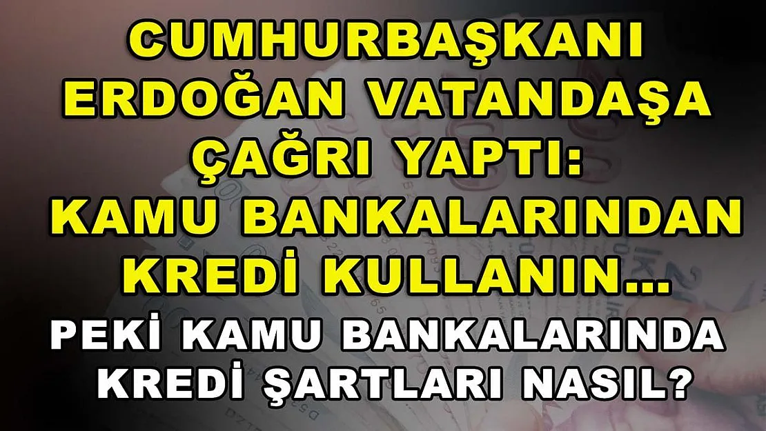 Cumhurbaşkanı Erdoğan vatandaşa çağrı yaptı: Kamu bankalarından kredi kullanın… Peki kamu bankalarında kredi şartları nasıl?