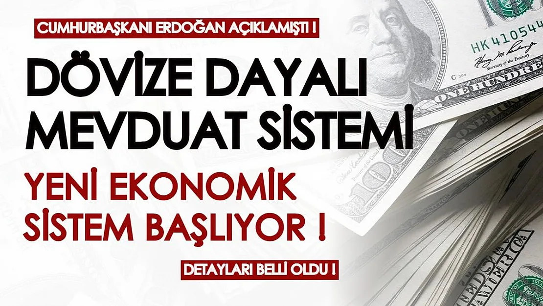 Cumhurbaşkanı Erdoğan yeni ekonomik sistemi açıklamıştı! Dövize dayalı mevduat sistemi nedir? Ayrıntıları tek tek belli oldu