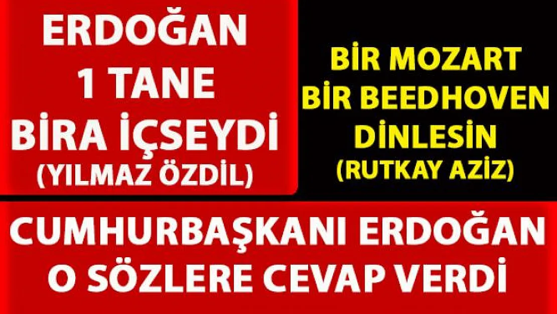 Cumhurbaşkanı Erdoğan, Yılmaz Özdil'in 'Bira İçsin' sözlerine cevap verdi