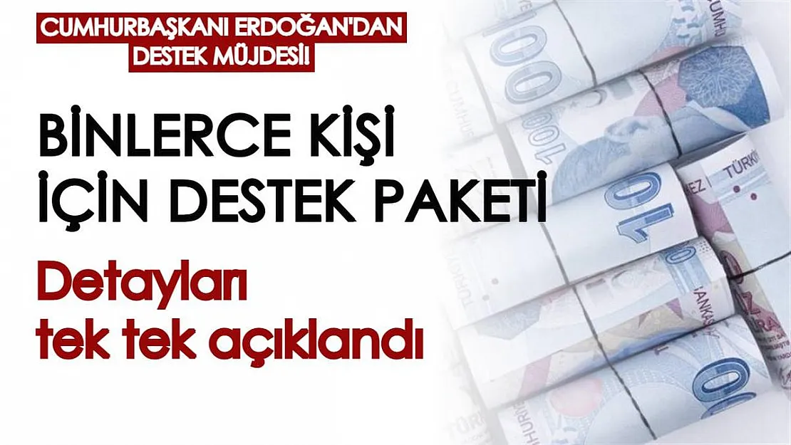 Cumhurbaşkanı Erdoğan'dan binlerce kişiye destek müjdesi: Destek paketinin detayları tek tek açıklandı