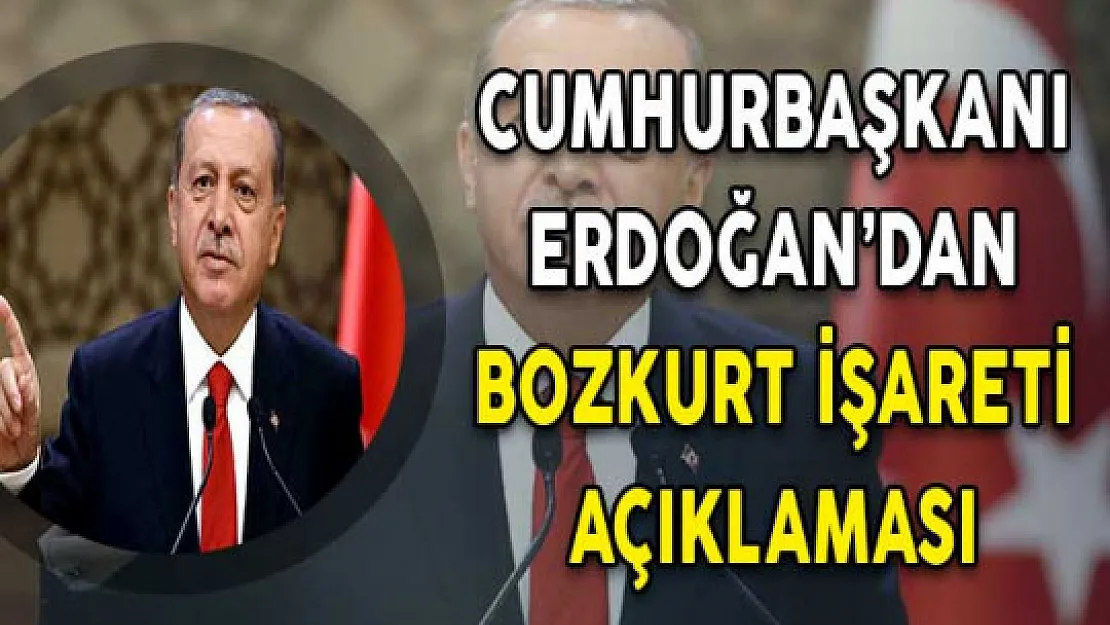 Cumhurbaşkanı Erdoğan'dan Bozkurt İşareti Açıklaması:" İrademizin dışında oldu ama güzel de oldu"