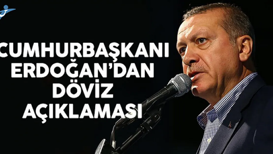 Cumhurbaşkanı Erdoğan'dan Döviz Açıklaması: Risk Almadan Bu İş Yürümez