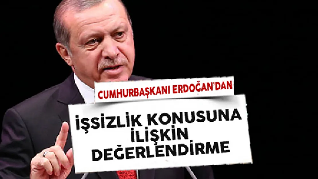 Cumhurbaşkanı Erdoğan'dan İşsizlik Konusuna Dair Değerlendirme