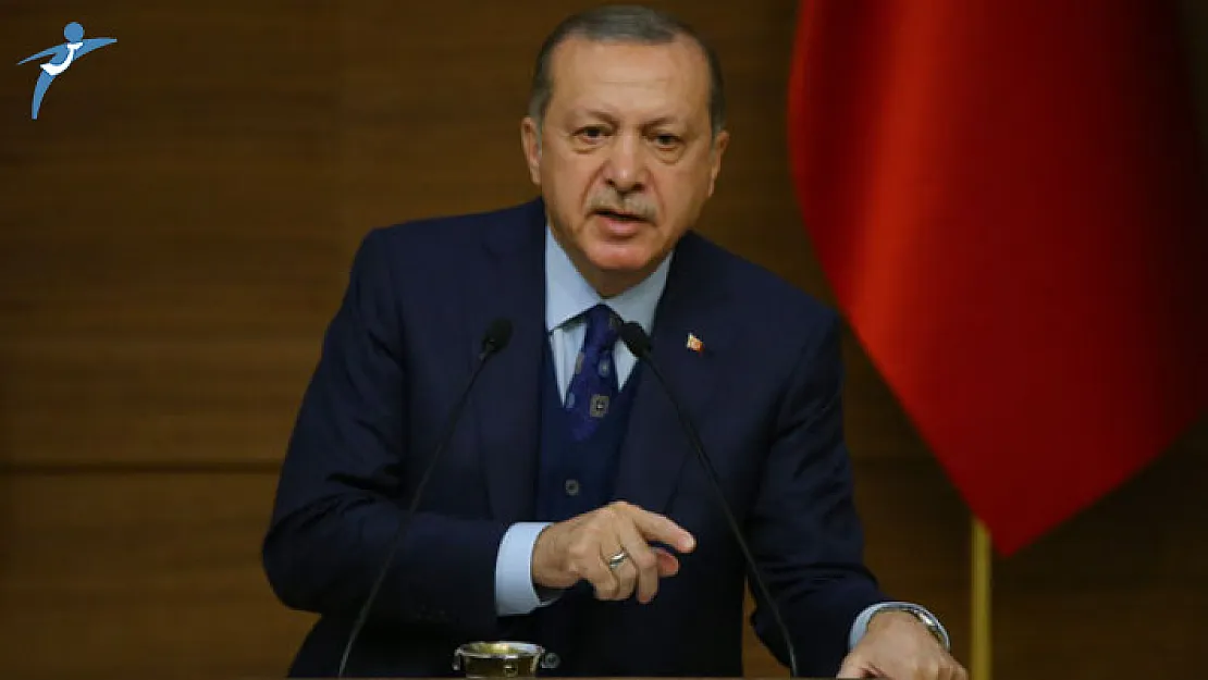 Cumhurbaşkanı Erdoğan'dan Önemli OHAL Açıklaması