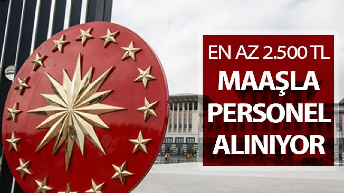 Cumhurbaşkanlığı En Az 2 Bin 500 TL Maaşla Sözleşmeli Kamu Personeli Alımı Yapıyor !
