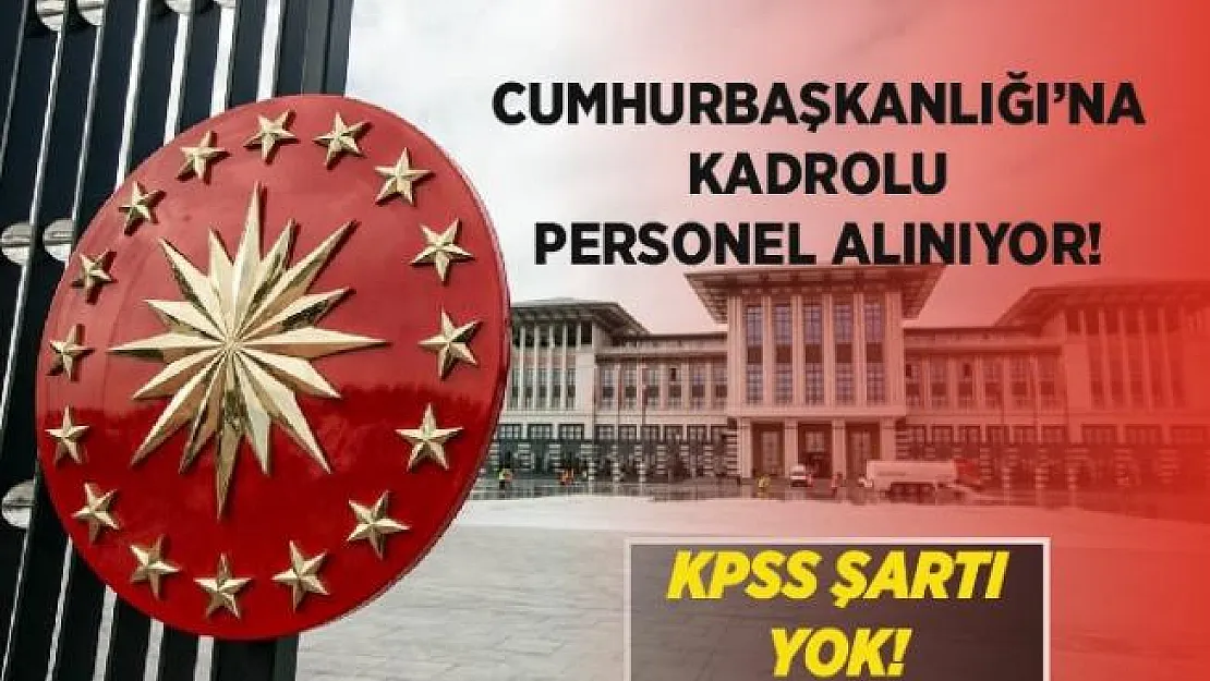 Cumhurbaşkanlığı'na kadrolu KPSS şartsız personel alımı yapılıyor! Başvurular 22 - 26 Haziran arasında!